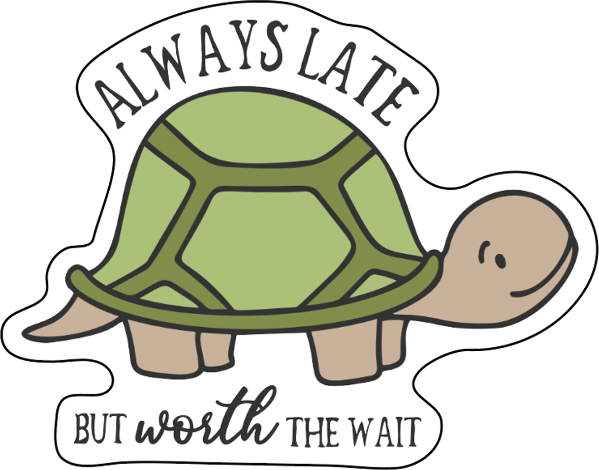 Turtle Stickers, Ten Vinyl Stickers Supporting Turtle, Great Turtle Gift, Decorative Stickers