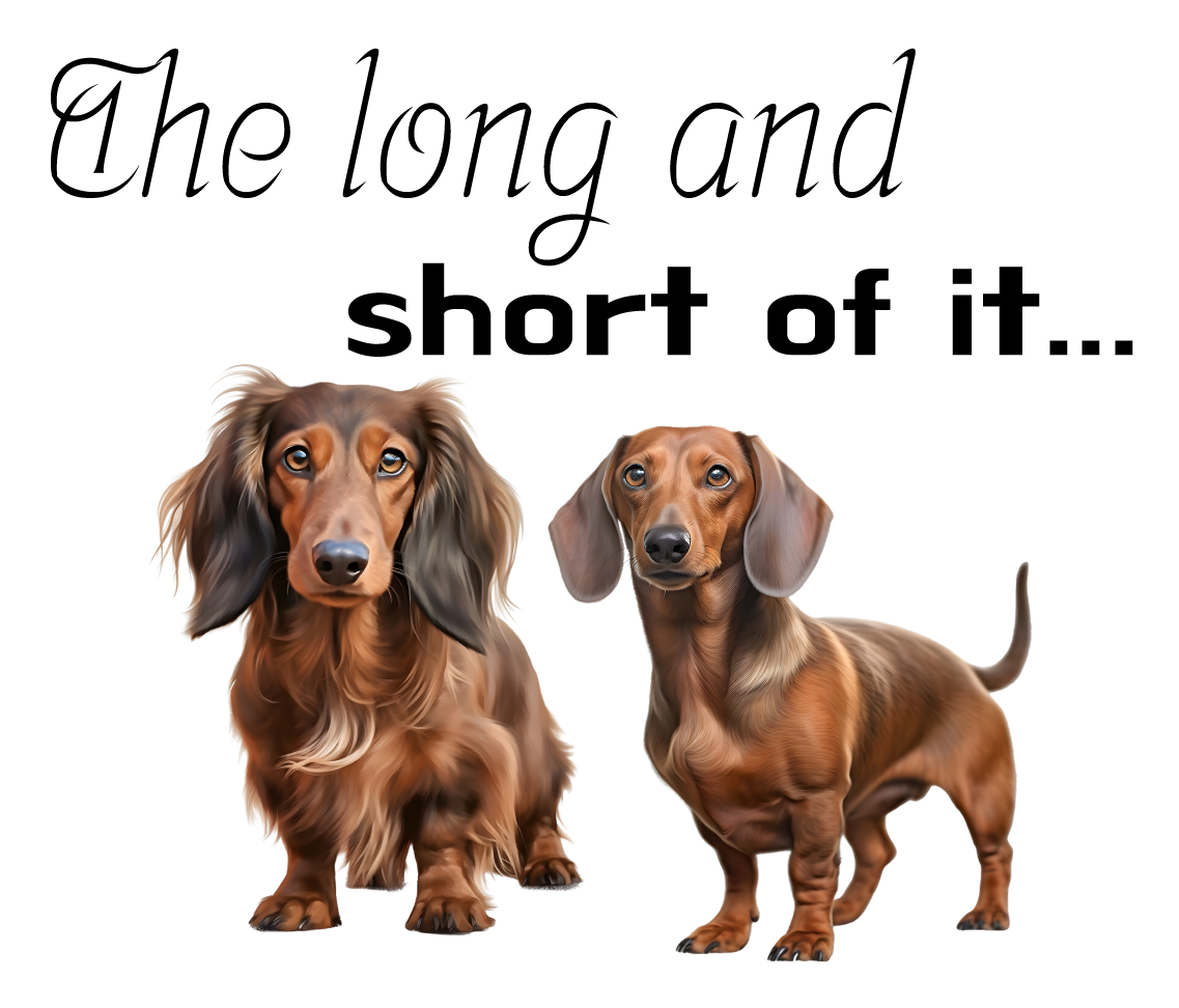 Dachshund Stickers, Ten Vinyl Stickers Supporting Dachshund, Great Dachshund Gift, Decorative Stickers