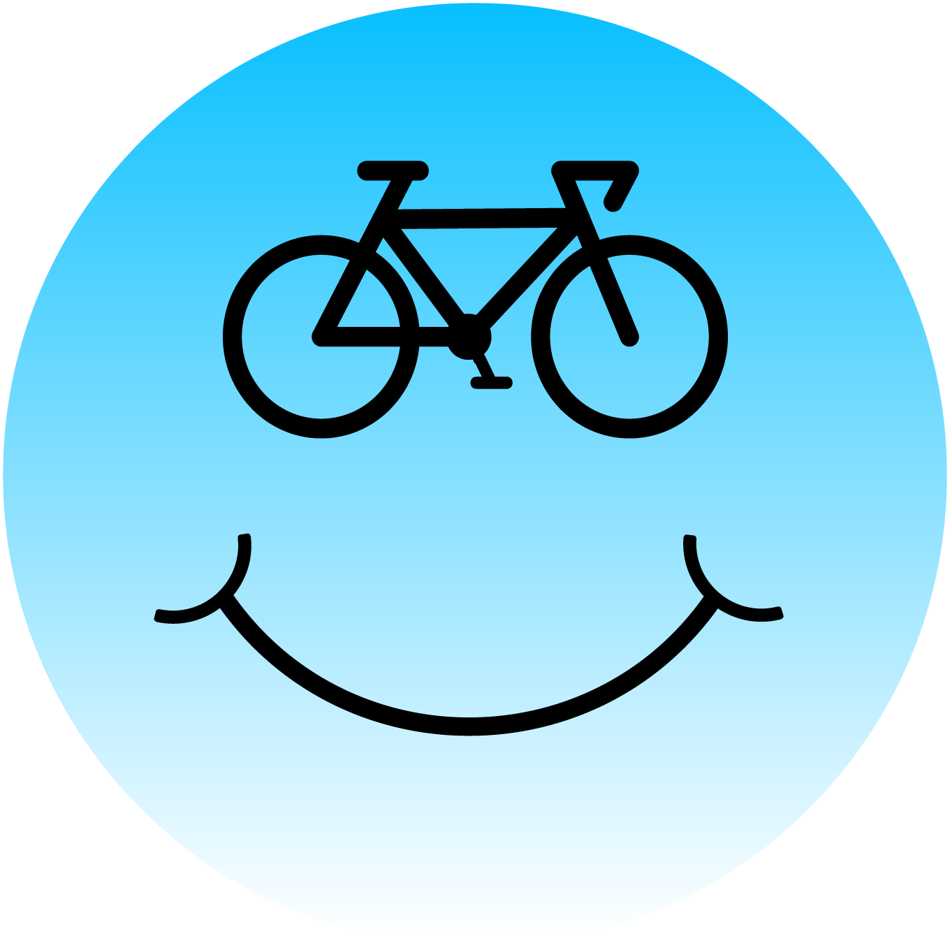 Bicycle Stickers, Ten Vinyl Stickers Supporting  Bicycle, Great  Bicycle Gift, Decorative Stickers