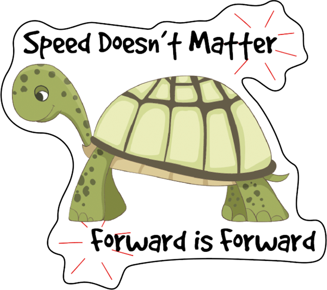 Turtle Stickers, Ten Vinyl Stickers Supporting Turtle, Great Turtle Gift, Decorative Stickers