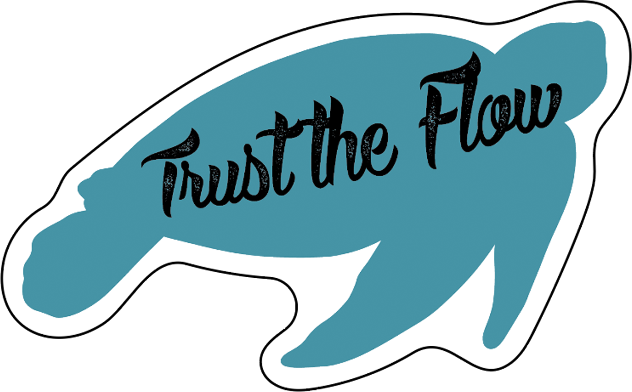 Turtle Stickers, Ten Vinyl Stickers Supporting Turtle, Great Turtle Gift, Decorative Stickers